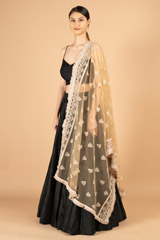 Brown Net Dupatta5037 video